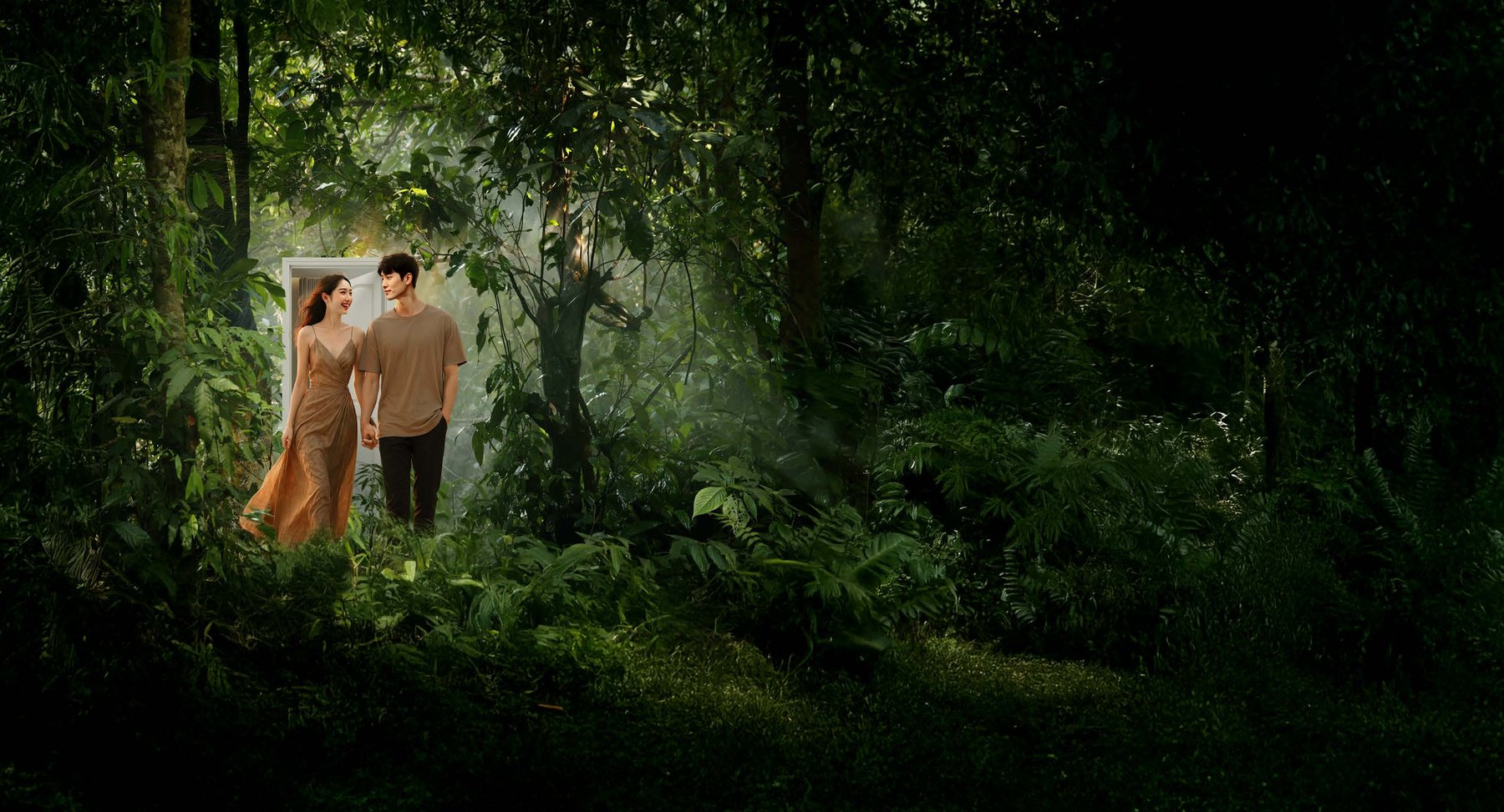 Forest trail